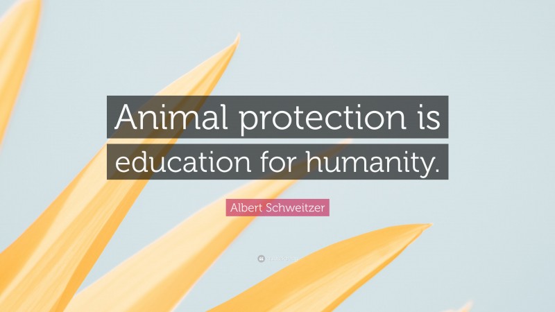 Albert Schweitzer Quote: “Animal protection is education for humanity.”