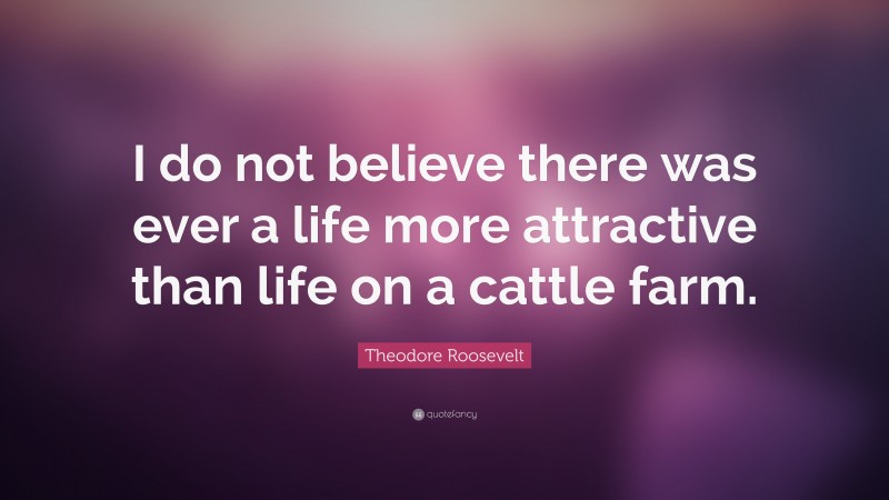 Theodore Roosevelt Quote: “I do not believe there was ever a life more attractive than life on a cattle farm.”