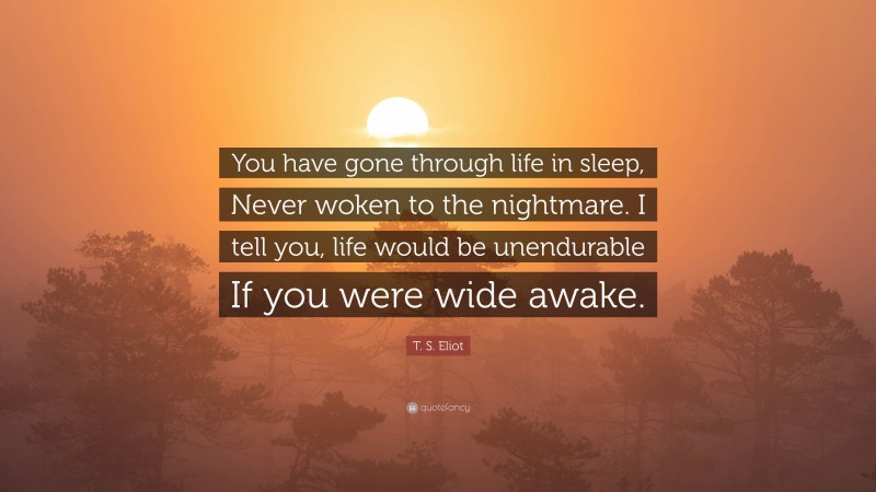 T. S. Eliot Quote: “You have gone through life in sleep, Never woken to the nightmare. I tell you, life would be unendurable If you were wide awake.”