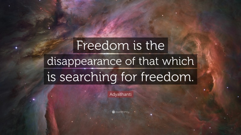 Adyashanti Quote: “Freedom is the disappearance of that which is searching for freedom.”