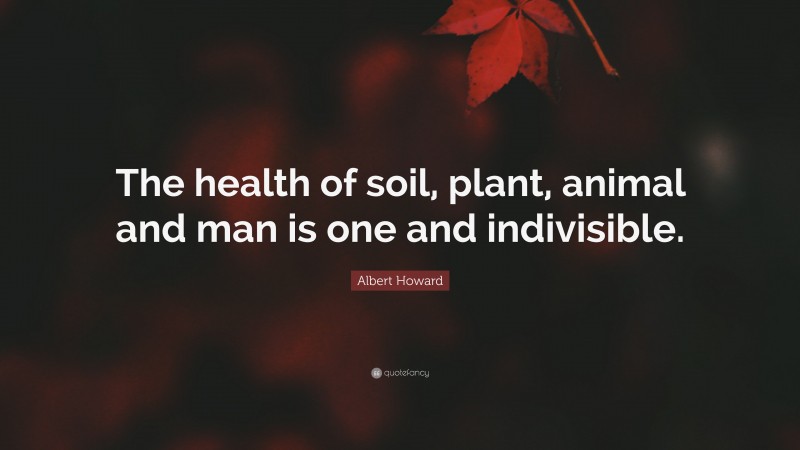 Albert Howard Quote: “The health of soil, plant, animal and man is one and indivisible.”
