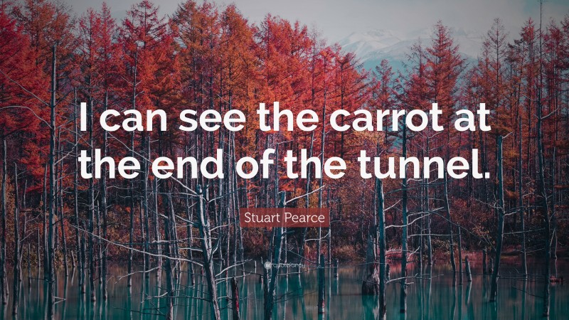Stuart Pearce Quote: “I can see the carrot at the end of the tunnel.”