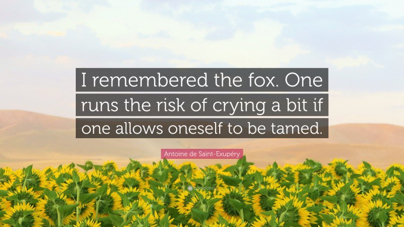 Antoine de Saint-Exupéry Quote: “I remembered the fox. One runs the risk of crying a bit if one allows oneself to be tamed.”