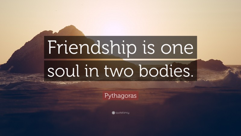 Pythagoras Quote: “Friendship is one soul in two bodies.”