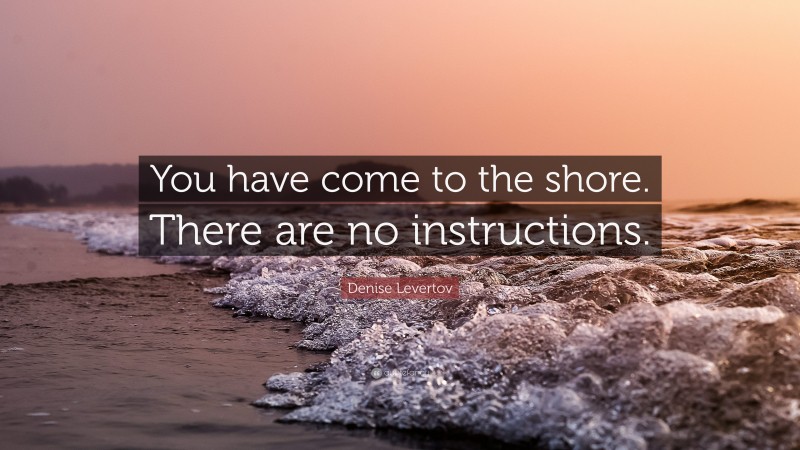 Denise Levertov Quote: “You have come to the shore. There are no instructions.”