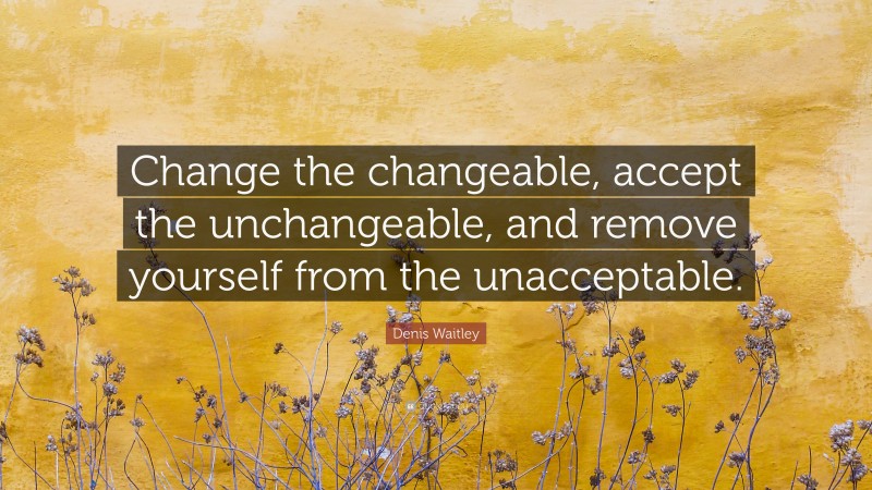 Denis Waitley Quote: “Change the changeable, accept the unchangeable, and remove yourself from the unacceptable.”