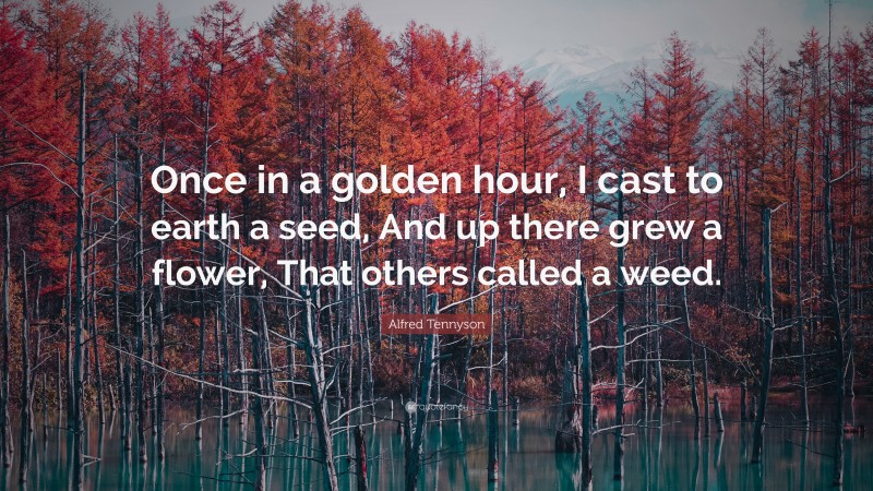 Alfred Tennyson Quote: “Once in a golden hour, I cast to earth a seed, And up there grew a flower, That others called a weed.”