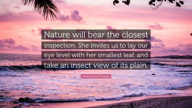 Henry David Thoreau Quote: “Nature will bear the closest inspection. She invites us to lay our eye level with her smallest leaf, and take an insect view of its plain.”