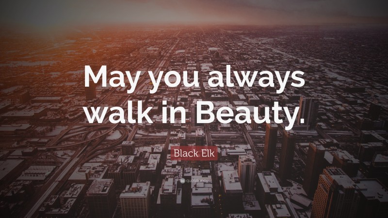 Black Elk Quote: “May you always walk in Beauty.”
