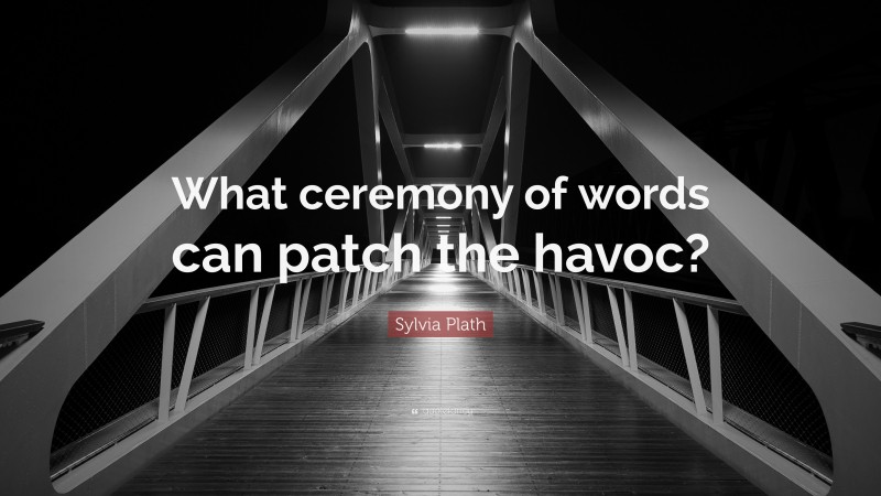 Sylvia Plath Quote: “What ceremony of words can patch the havoc?”