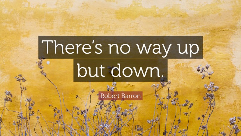 Robert Barron Quote: “There’s no way up but down.”