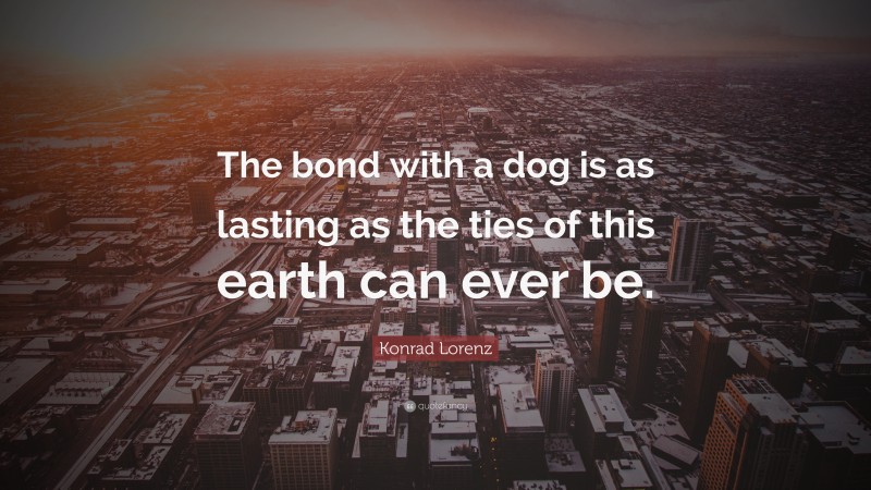 Konrad Lorenz Quote: “The bond with a dog is as lasting as the ties of this earth can ever be.”