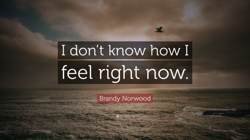 Brandy Norwood Quote: “I don’t know how I feel right now.”