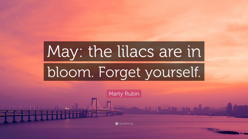 Marty Rubin Quote: “May: the lilacs are in bloom. Forget yourself.”