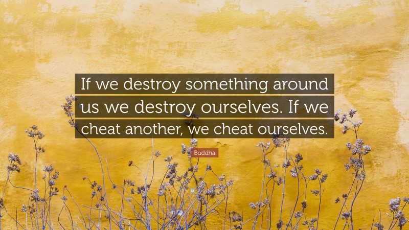 Buddha Quote: “If we destroy something around us we destroy ourselves. If we cheat another, we cheat ourselves.”