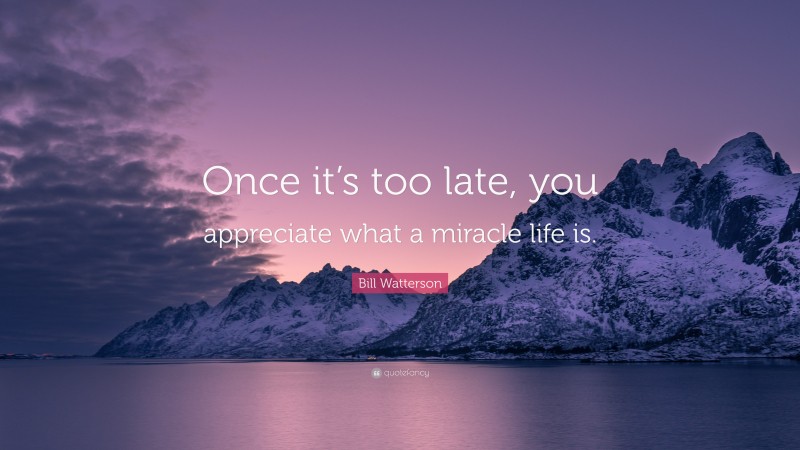 Bill Watterson Quote: “Once it’s too late, you appreciate what a miracle life is.”