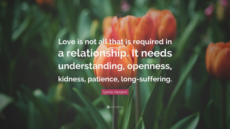 Iyanla Vanzant Quote: “Love is not all that is required in a relationship. It needs understanding, openness, kidness, patience, long-suffering.”