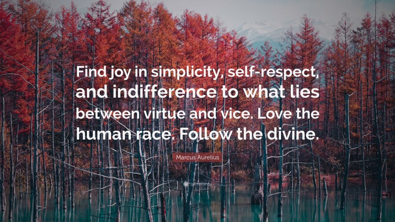 Marcus Aurelius Quote: “Find joy in simplicity, self-respect, and indifference to what lies between virtue and vice. Love the human race. Follow the divine.”