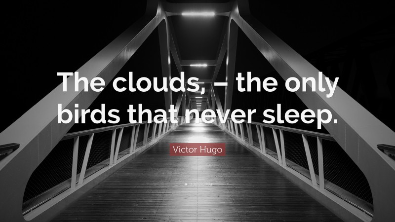 Victor Hugo Quote: “The clouds, – the only birds that never sleep.”