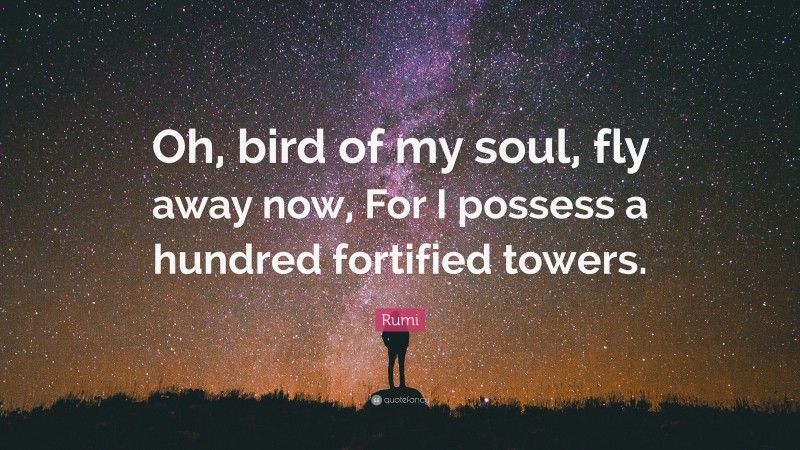 Rumi Quote: “Oh, bird of my soul, fly away now, For I possess a hundred fortified towers.”