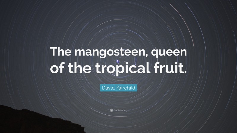 David Fairchild Quote: “The mangosteen, queen of the tropical fruit.”