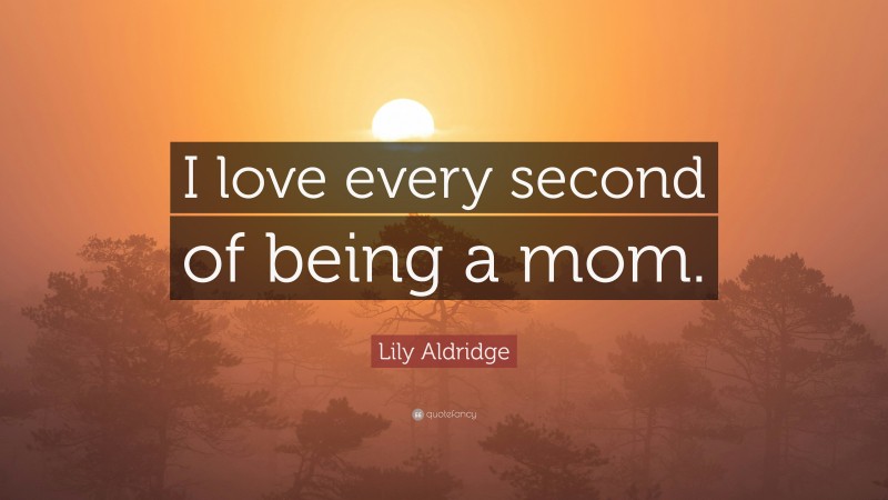 Lily Aldridge Quote: “I love every second of being a mom.”