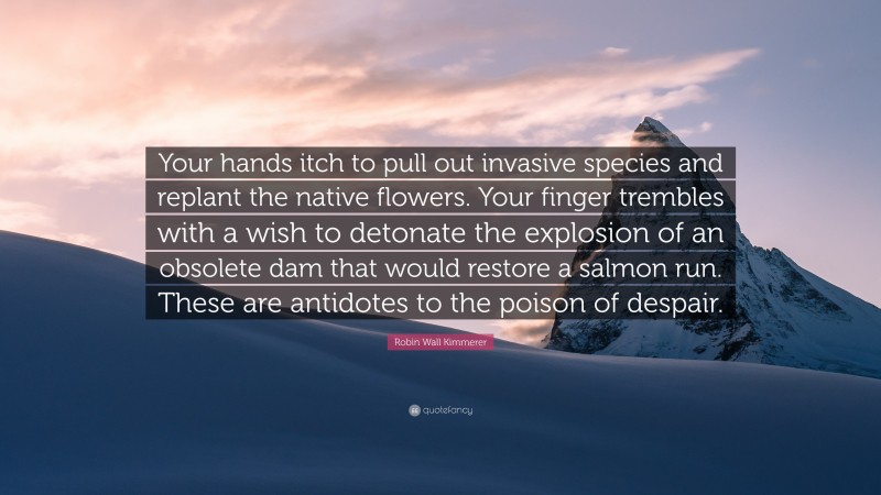 Robin Wall Kimmerer Quote: “Your hands itch to pull out invasive species and replant the native flowers. Your finger trembles with a wish to detonate the explosion of an obsolete dam that would restore a salmon run. These are antidotes to the poison of despair.”