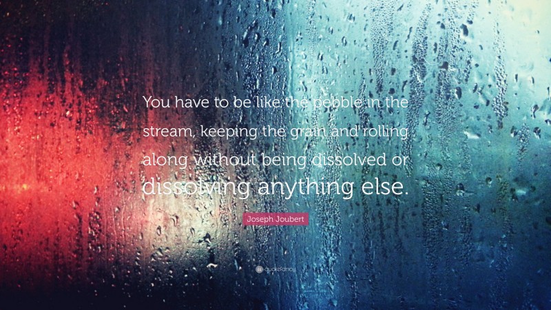 Joseph Joubert Quote: “You have to be like the pebble in the stream, keeping the grain and rolling along without being dissolved or dissolving anything else.”