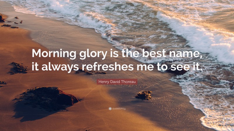 Henry David Thoreau Quote: “Morning glory is the best name, it always refreshes me to see it.”