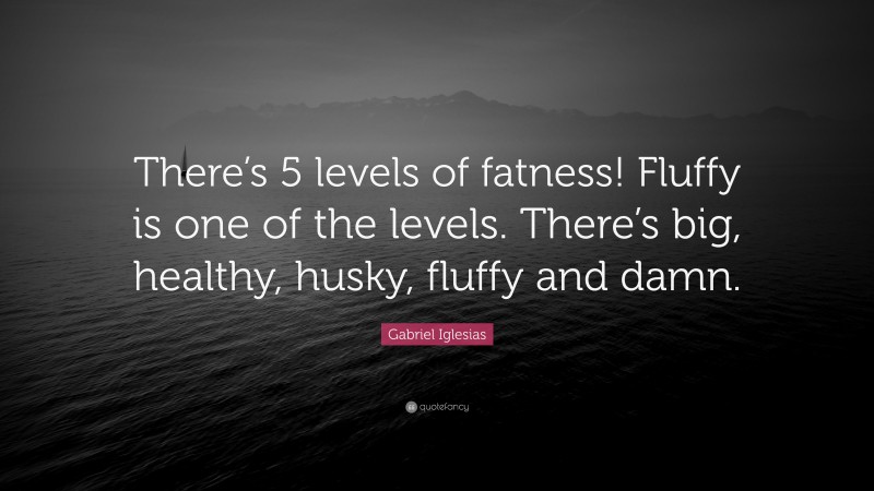 Gabriel Iglesias Quote: “There’s 5 levels of fatness! Fluffy is one of the levels. There’s big, healthy, husky, fluffy and damn.”