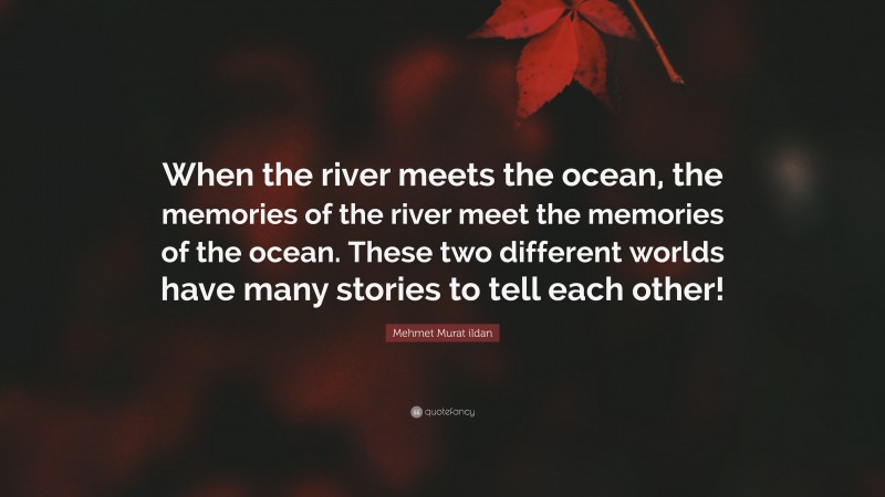 Mehmet Murat ildan Quote: “When the river meets the ocean, the memories of the river meet the memories of the ocean. These two different worlds have many stories to tell each other!”