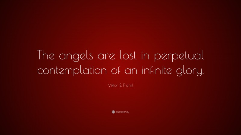Viktor E. Frankl Quote: “The angels are lost in perpetual contemplation of an infinite glory.”