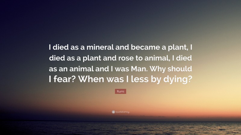 Rumi Quote: “I died as a mineral and became a plant, I died as a plant and rose to animal, I died as an animal and I was Man. Why should I fear? When was I less by dying?”