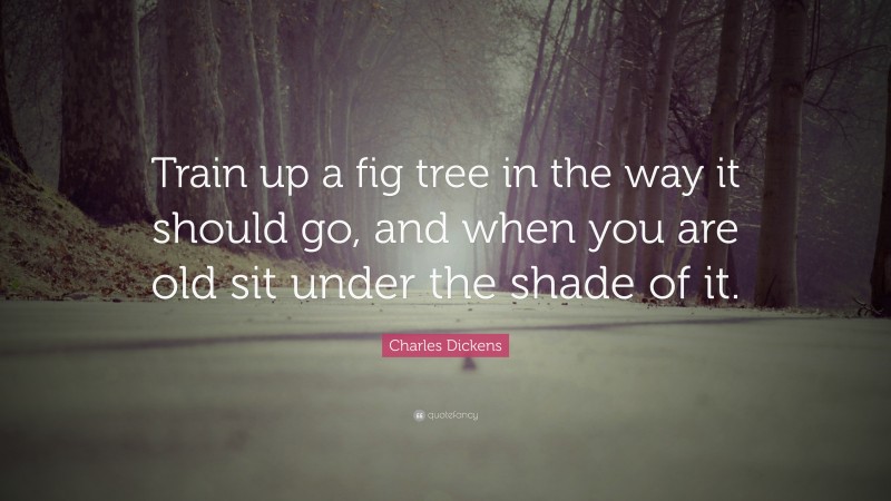 Charles Dickens Quote: “Train up a fig tree in the way it should go, and when you are old sit under the shade of it.”