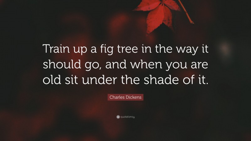 Charles Dickens Quote: “Train up a fig tree in the way it should go, and when you are old sit under the shade of it.”