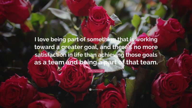 Jim Harbaugh Quote: “I love being part of something that is working toward a greater goal, and there’s no more satisfaction in life than achieving those goals as a team and being a part of that team.”