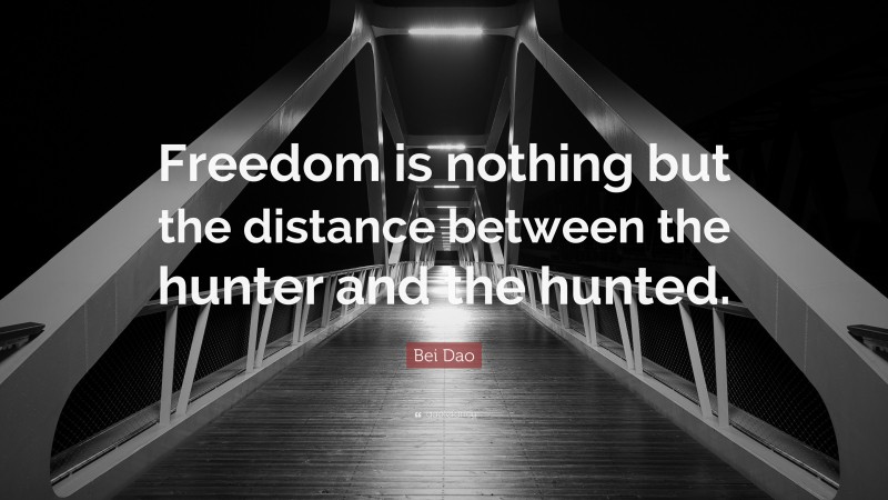 Bei Dao Quote: “Freedom is nothing but the distance between the hunter and the hunted.”