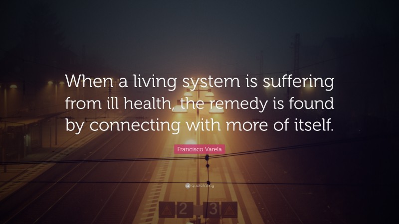Francisco Varela Quote: “When a living system is suffering from ill health, the remedy is found by connecting with more of itself.”