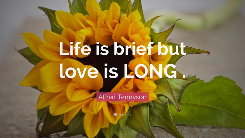 Alfred Tennyson Quote: “Life is brief but love is LONG .”