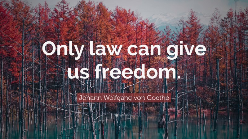 Johann Wolfgang von Goethe Quote: “Only law can give us freedom.”