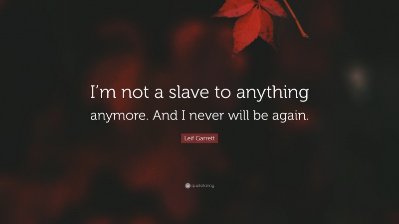 Leif Garrett Quote: “I’m not a slave to anything anymore. And I never will be again.”