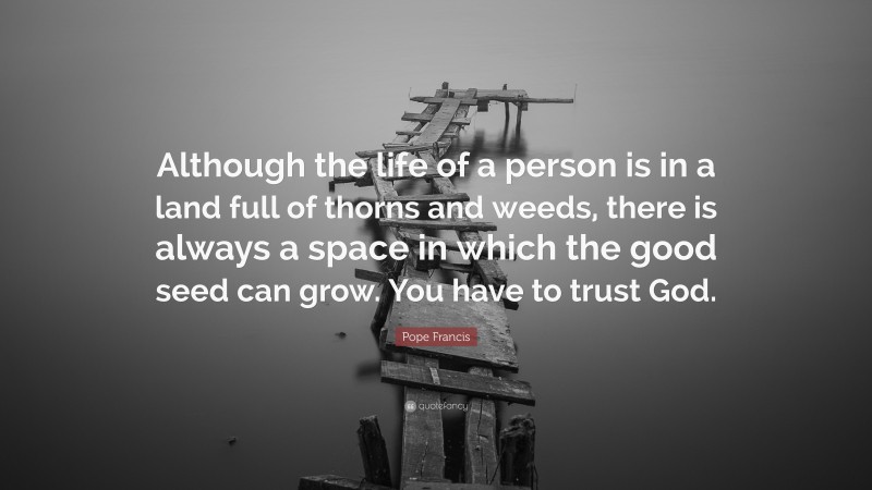 Pope Francis Quote: “Although the life of a person is in a land full of thorns and weeds, there is always a space in which the good seed can grow. You have to trust God.”