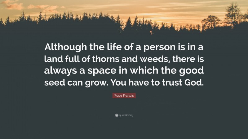 Pope Francis Quote: “Although the life of a person is in a land full of thorns and weeds, there is always a space in which the good seed can grow. You have to trust God.”