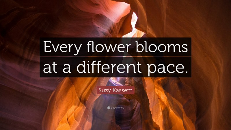 Suzy Kassem Quote: “Every flower blooms at a different pace.”
