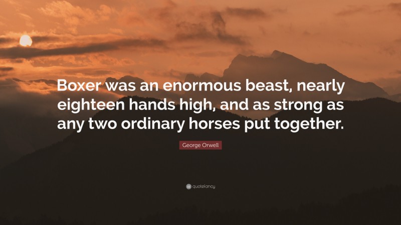 George Orwell Quote: “Boxer was an enormous beast, nearly eighteen hands high, and as strong as any two ordinary horses put together.”