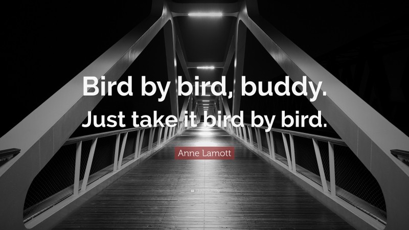 Anne Lamott Quote: “Bird by bird, buddy. Just take it bird by bird.”