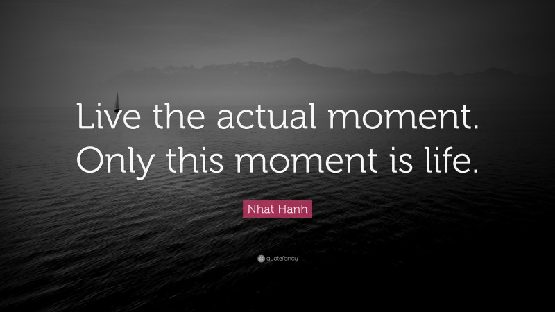 Nhat Hanh Quote: “Live the actual moment. Only this moment is life.”