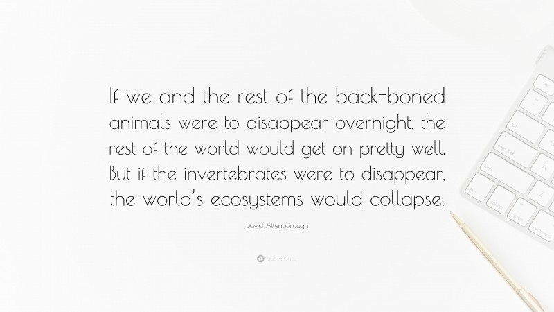 David Attenborough Quote: “If we and the rest of the back-boned animals were to disappear overnight, the rest of the world would get on pretty well. But if the invertebrates were to disappear, the world’s ecosystems would collapse.”