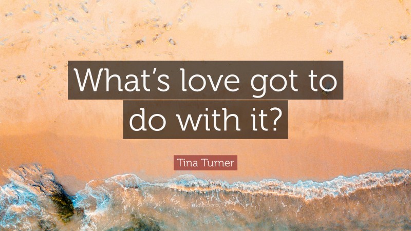 Tina Turner Quote: “What’s love got to do with it?”
