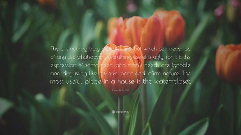 Théophile Gautier Quote: “There is nothing truly beautiful but that which can never be of any use whatsoever; everything useful is ugly, for it is the expression of some need, and man’s needs are ignoble and disgusting like his own poor and infirm nature. The most useful place in a house is the water-closet.”